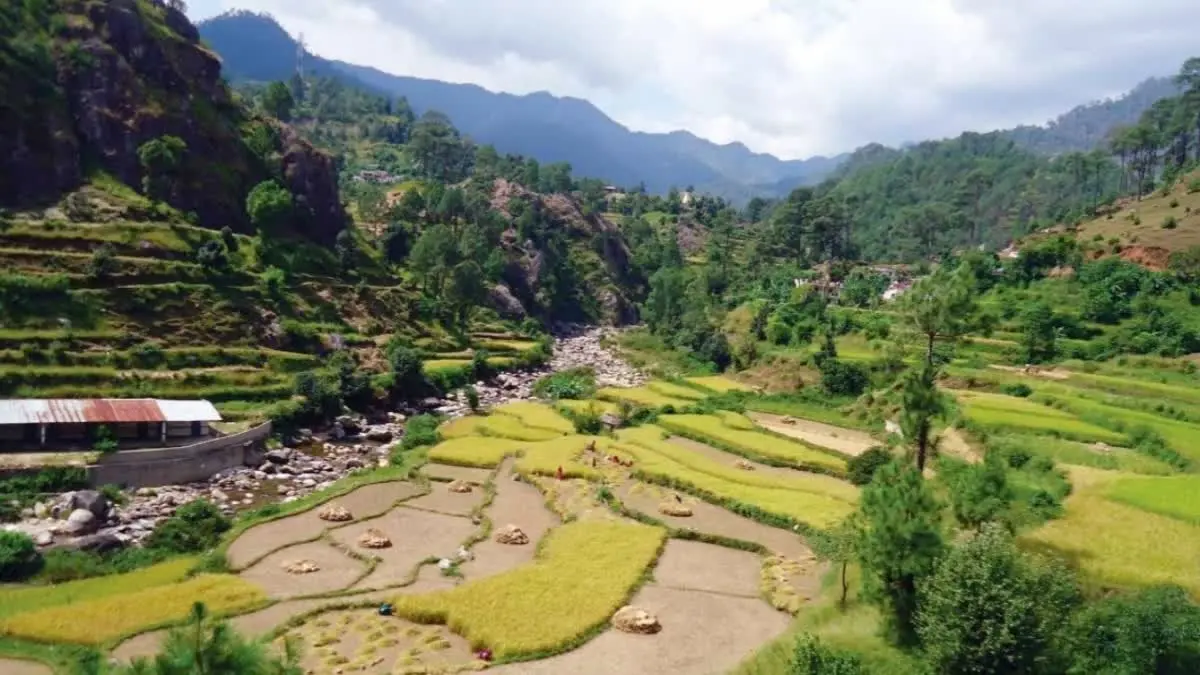 उत्तराखंड में घटती कृषि भूमि के बावजूद बढ़ रहा फसलों का उत्पादन, विपक्ष ने उठाए सवाल